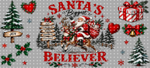 16oz Christmas-S  2949